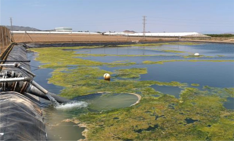 Mejora balsas de riego - ANTES